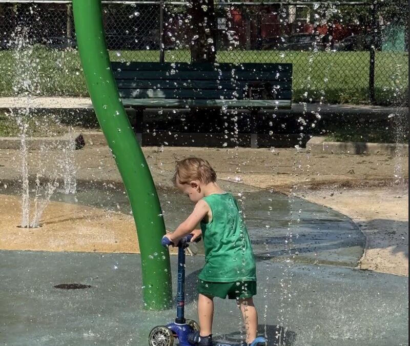 Taking Our Cues From a Toddler
